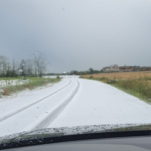 Danni per il maltempo: grandine, allagamenti, alberi caduti (VIDEO E FOTO)