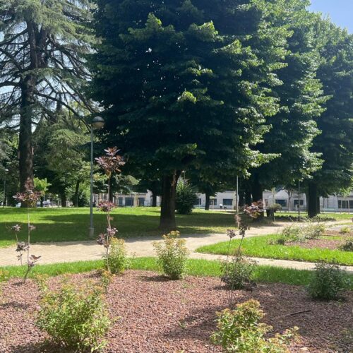 Terminati i lavori di manutenzione nei giardini di viale Oliva a Valenza