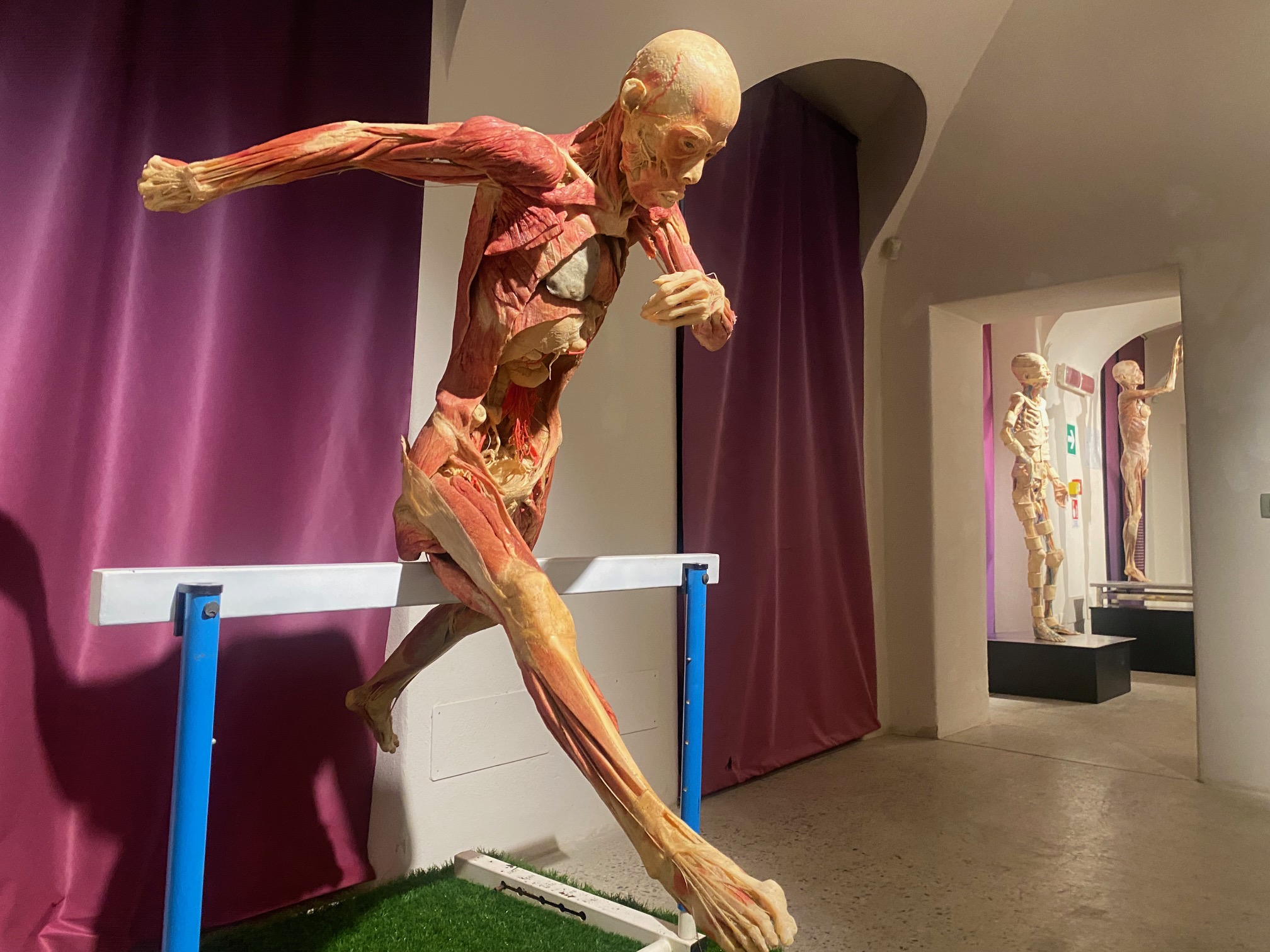 Real Bodies: al Castello di Casale larte del corpo umano