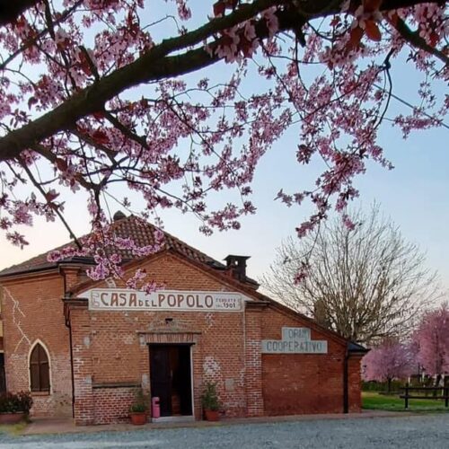 Il 26 e 27 luglio cena sotto le stelle e musica alla Casa del Popolo delle Roncaglie, ad Abazia di Masio
