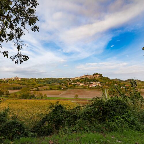 Il Bello del Monferrato: Cella Monte, dove milioni di anni fa c’era il mare