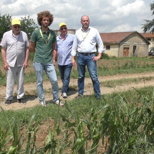 A San Michele non solo alberi abbattuti: le raffiche di vento hanno devastato anche l’agricoltura