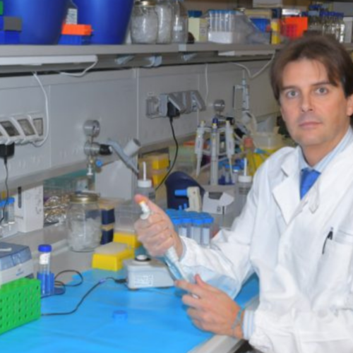Cardiologia d’avanguardia: il professor Gnecchi porta Pavia ai vertici internazionali