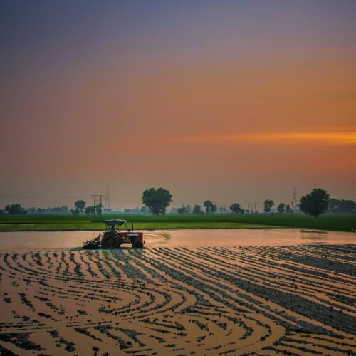 Errore nel cantiere di Gessate, Consorzio Est Ticino Villoresi interrompe la fornitura di acqua. Cia Agricoltori: “Danni gravissimi”