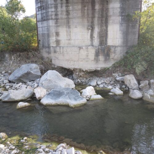 “Briglia e ponte sul torrente Tidone in stato di degrado”: Legambiente chiede interventi urgenti