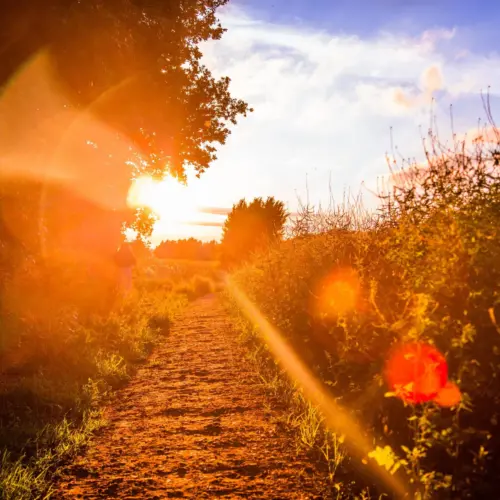 Dalla primavera all’estate: nel weekend temperature fino a 32 gradi e “forte disagio”