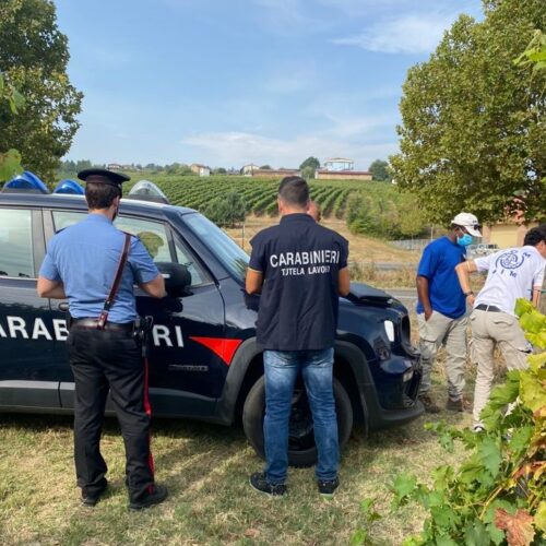 Controlli contro il caporalato in provincia di Pavia: denunciati 5 titolari di aziende