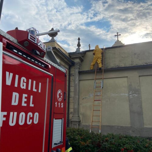 Nidi di insetti all’ingresso del cimitero di Terruggia: l’intervento dei Vigili del Fuoco