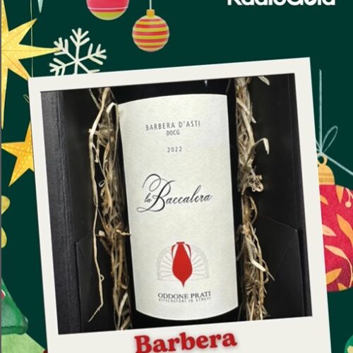 Aperta la prima casella del calendario dell’Avvento di Radio Gold. Gioca su Instagram per vincere