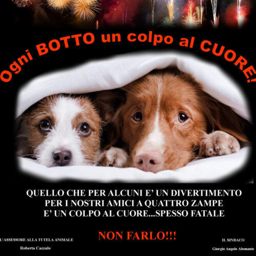Alessandria contro i botti di fine anno in difesa degli animali: parte campagna sensibilizzazione