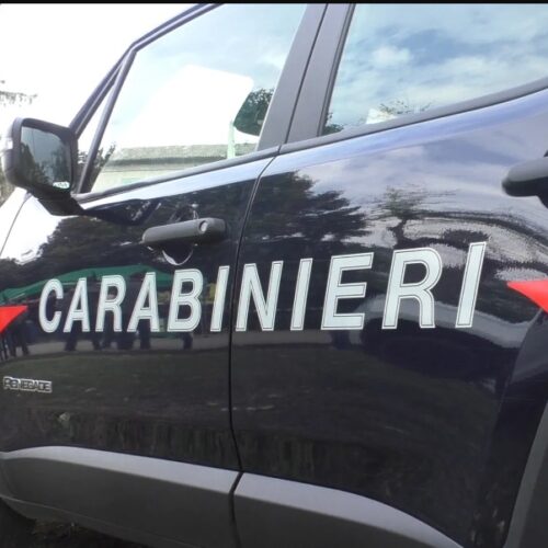 Prima litiga con la compagna poi aggredisce i Carabinieri con calci e pugni