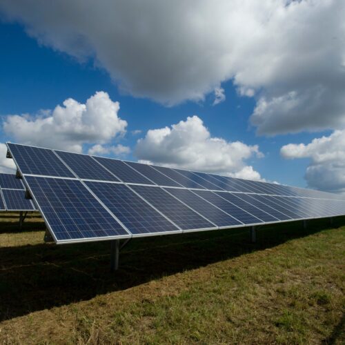 Nuovo PGT a Pavia: stop agli allevamenti intensivi e al fotovoltaico a terra
