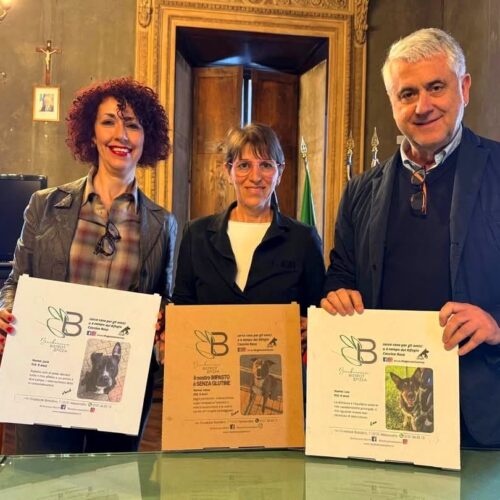Foto dei cani da adottare sui cartoni della pizza: il Comune di Alessandria sostiene il progetto di Eliana Amato