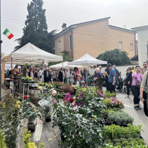 Domenica 6 aprile Frascaro è in fiore