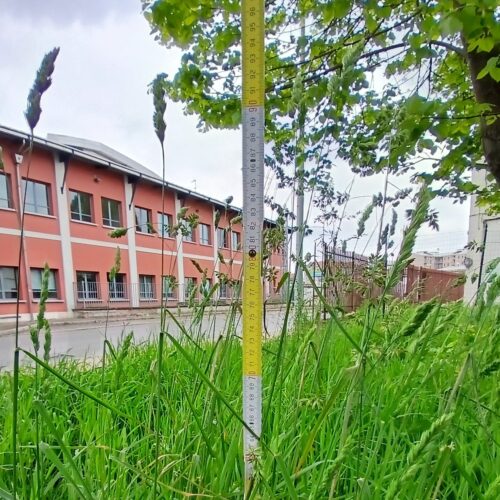 FdI: con il metro in mano per “dimostrare lo stato di abbandono di Alessandria”