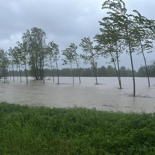 Maltempo nel Nord Ovest: per Coldiretti danni di 2 milioni ma potrebbero triplicare