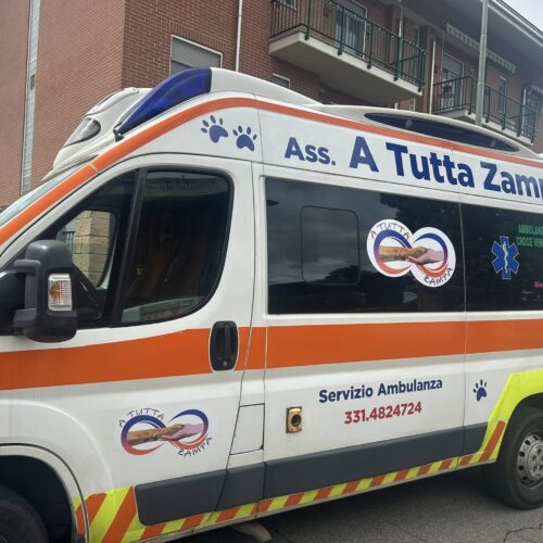 Torna l’ambulanza veterinaria: tra un mese in strada