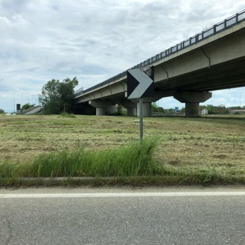 Tagliata l’erba nella rotonda vicino al ponte Forlanini