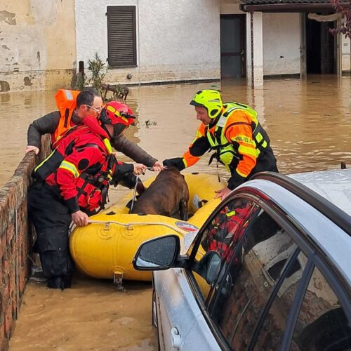 Vigili del Fuoco con il gommone per salvare due persone e il cane bloccati a Valmadonna