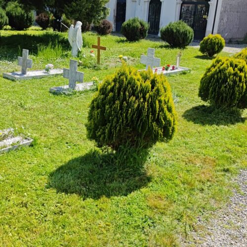 Al via il taglio dell’erba al cimitero di Alessandria. Comune: ora interventi nei sobborghi