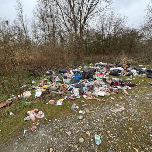 Abbandona rifiuti vicino al Po. Identificato dalla Polizia Locale e denunciato