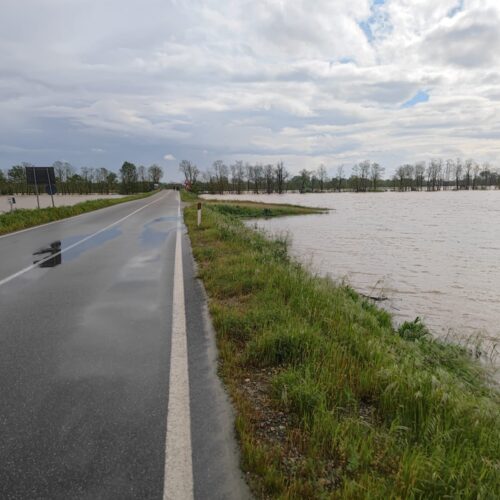 La situazione del ponte sul fiume Sesia a Terranova alle 10.45
