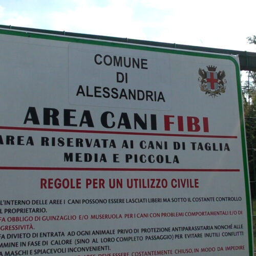 Gestione aree cani ad Alessandria: appello del Comune a soggetti pubblici e privati interessati