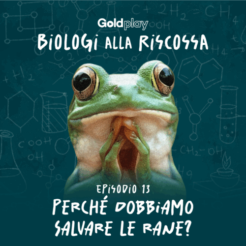 Perché dobbiamo salvare le rane? Quello che non sai sugli anfibi – Biologi alla Riscossa #13