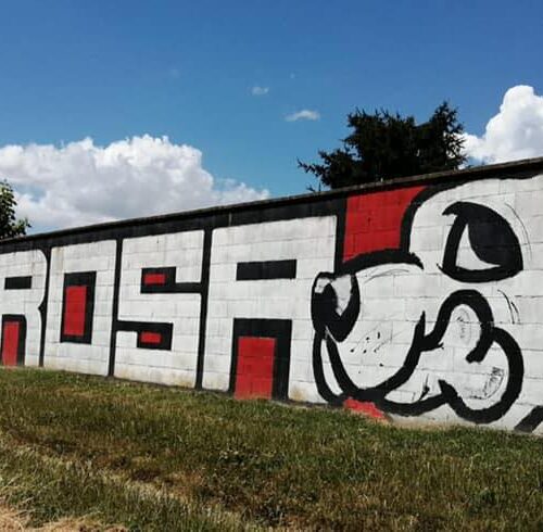 Domenica apertura straordinaria del Canile Cascina Rosa a Valmadonna