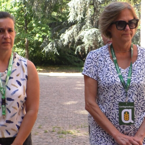 Tangenziale accessibile ai trattori, Cia e Confagricoltura: “Lo chiediamo da 8 anni, Anas era contraria”