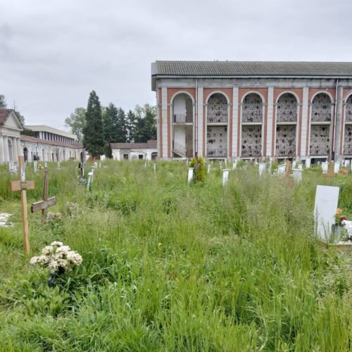 Cimiteri Alessandria: dal Comune 131 mila euro per i primi interventi urgenti di riqualificazione