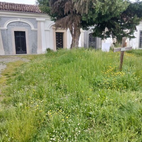 Cimiteri Alessandria: via alla revoca gestione esterna. In parallelo Comune pronto a intervenire contro l’incuria