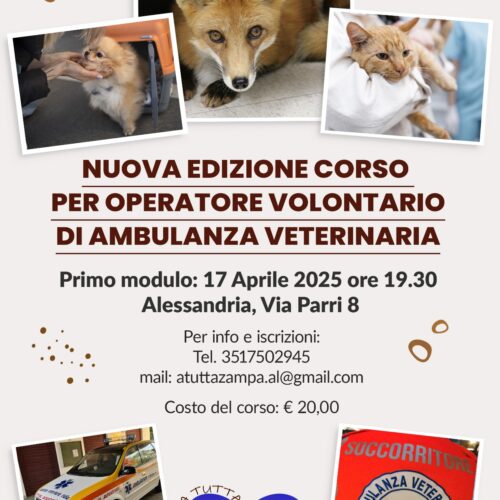Ambulanza veterinaria: da giovedì 17 aprile via al corso per operatore volontario