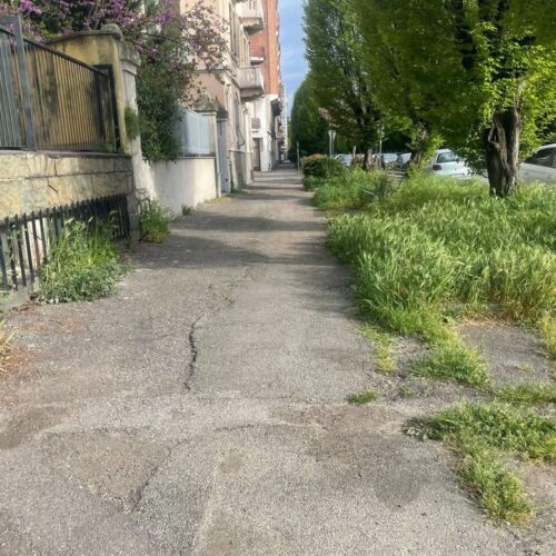 Viale Medaglie d’oro, erba alta. Assessore Ivaldi: “Sfalcio previsto dopo quelli vicino a scuole e nei parchi”