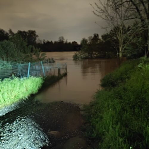 Piena del fiume Bormida ad Alessandria arrivata a 6.85 metri: il ponte resta aperto