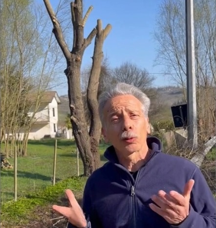 L’attore Giovanni Storti contro le potature dei platani ad Alessandria. Il Comune replica: “Tecniche certificate”