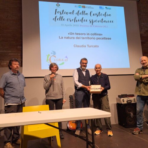 Il Comune di Montecastello custode delle orchidee spontanee