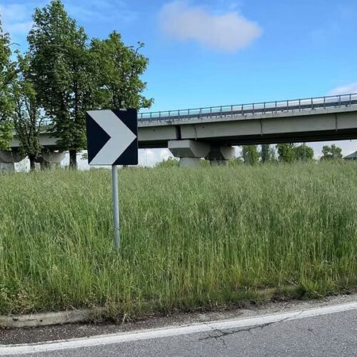 “Poca visibilità sulla rotonda del ponte Forlanini”. Assessore Ivaldi: “Presto lo sfalcio dell’erba”
