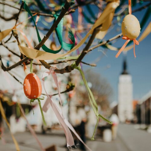 Cosa fare nel weekend di Pasqua in provincia di Pavia