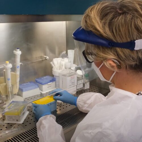 L’asma nei bambini e la possibile correlazione con l’intestino: lo studio all’Ospedale di Alessandria