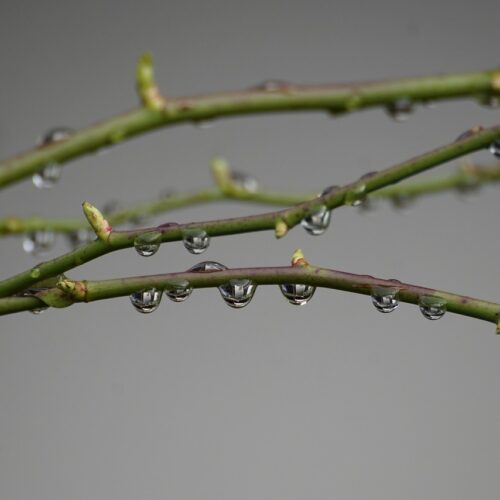 Meteo: deboli precipitazioni nella notte, rovesci moderati lunedì pomeriggio
