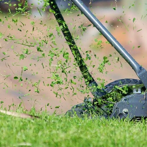 Sfalci ad Alessandria e nei sobborghi: il calendario degli interventi fino a venerdì 30 maggio