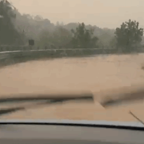 Acqua allaga la strada tra Valmadonna e Alessandria. Alberi caduti in tangenziale