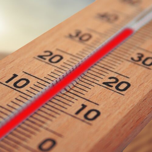 Ondate di calore: temperature in aumento oggi in provincia fino a 39 gradi percepiti