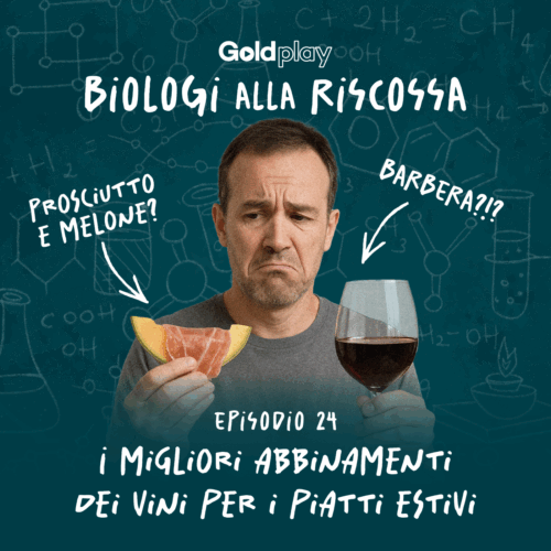 Cosa succede quando abbiniamo certi piatti a certi vini? la guida per sopravvivere all’estate con gusto!