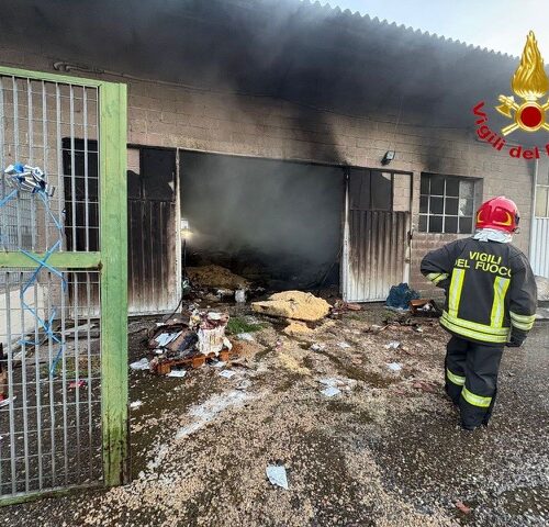 Fiamme nella notte al canile di San Genesio: distrutto il magazzino con il cibo per gli animali