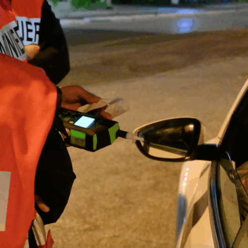 Controlli anti-droga e alcol dei Carabinieri: dieci persone denunciate in provincia