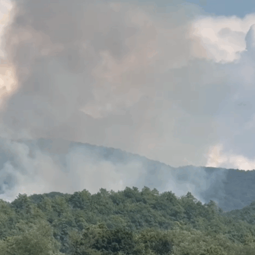 Vasto incendio di un bosco tra Belforte e Rossiglione