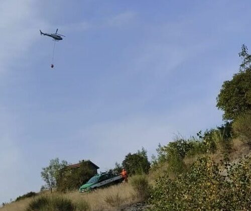 Vasto incendio di sterpaglie nel territorio di Spigno