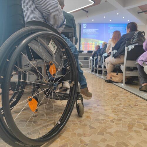 Giornata persone con disabilità, assessora Cazzulo: “Politica lotti per una società fatta di differenze legittime”